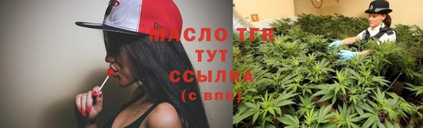 скорость Ельня