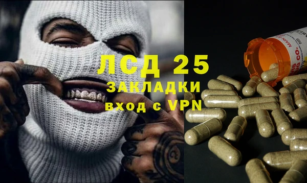 скорость Ельня
