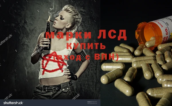 скорость Ельня