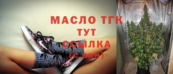 скорость Ельня