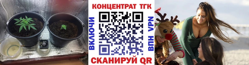 Дистиллят ТГК Wax  Купить закладки  Фурманов 