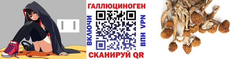 Купить закладки  Фурманов  Галлюциногенные грибы прущие грибы 